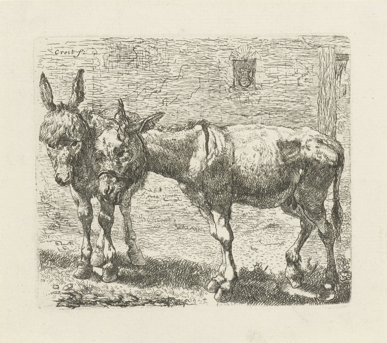 Due asini da Ernst Ludwig Creite