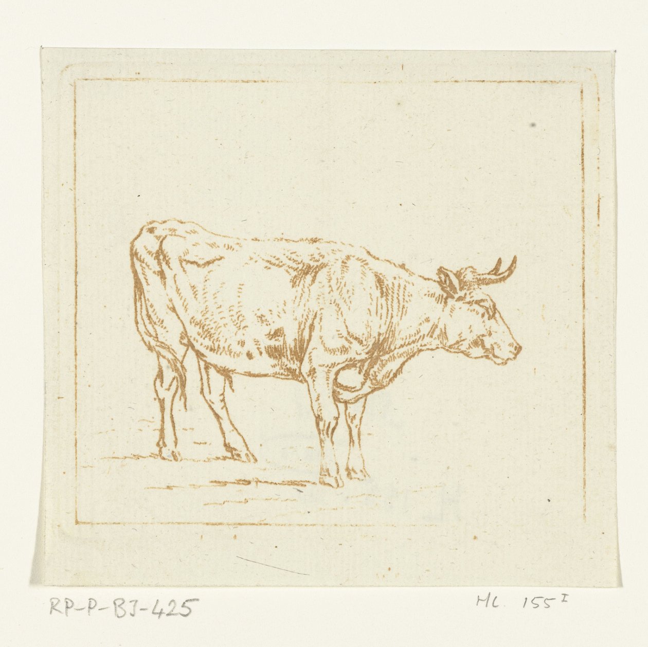 Toro in piedi, verso destra da Ernst Willem Jan Bagelaar