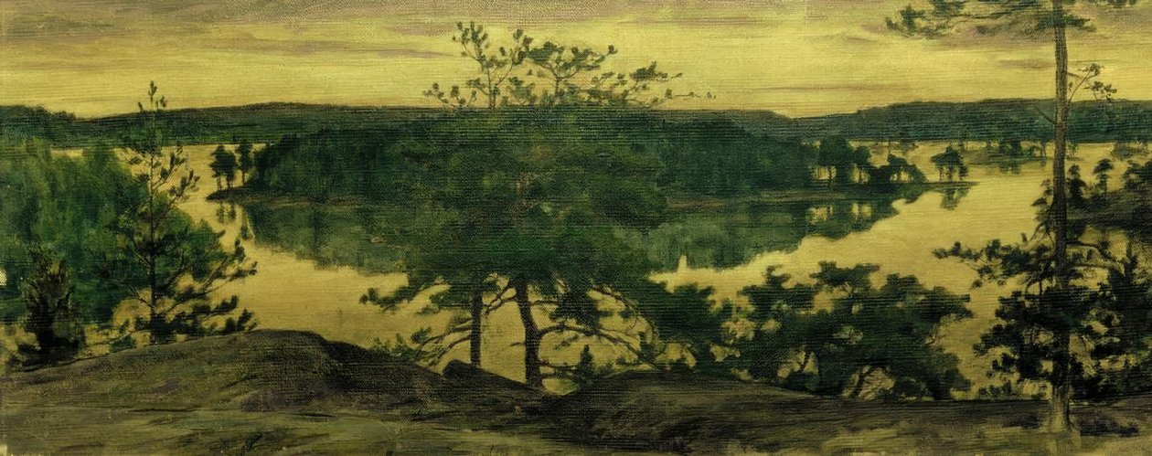 La notte chiara da Eugen Prinz von Schweden