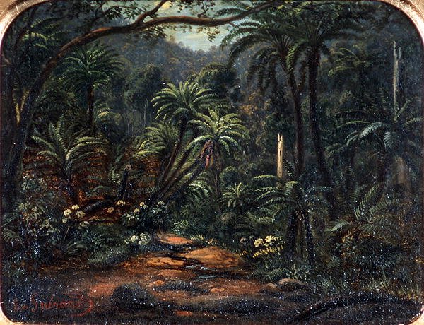 Ferntree Gully nelle Dandenong Ranges da Eugen von Guerard