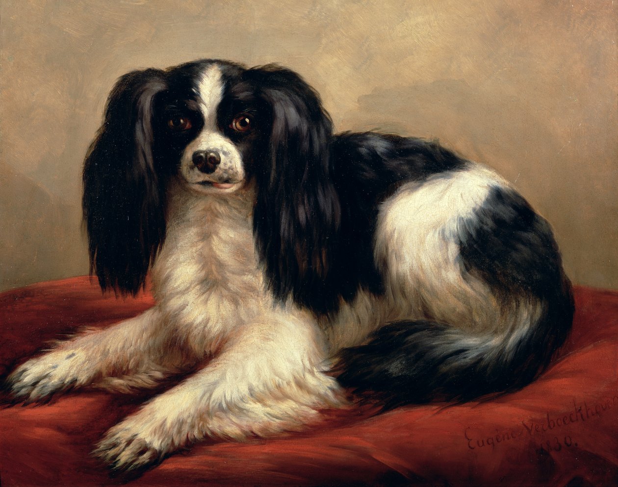 Un King Charles Spaniel seduto su un cuscino rosso da Eugene Joseph Verboeckhoven