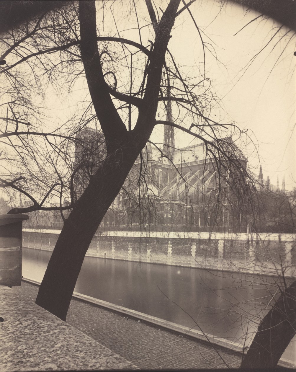 Notre-Dame, 1922 (foto) da Eugène Atget