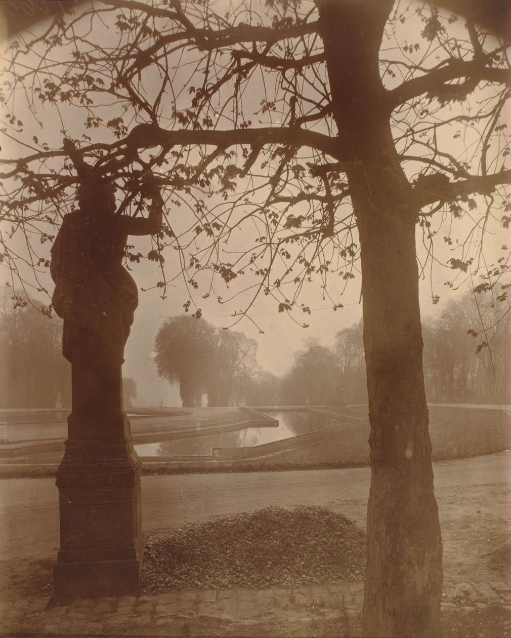 Saint-Cloud, 1926 (foto) da Eugène Atget
