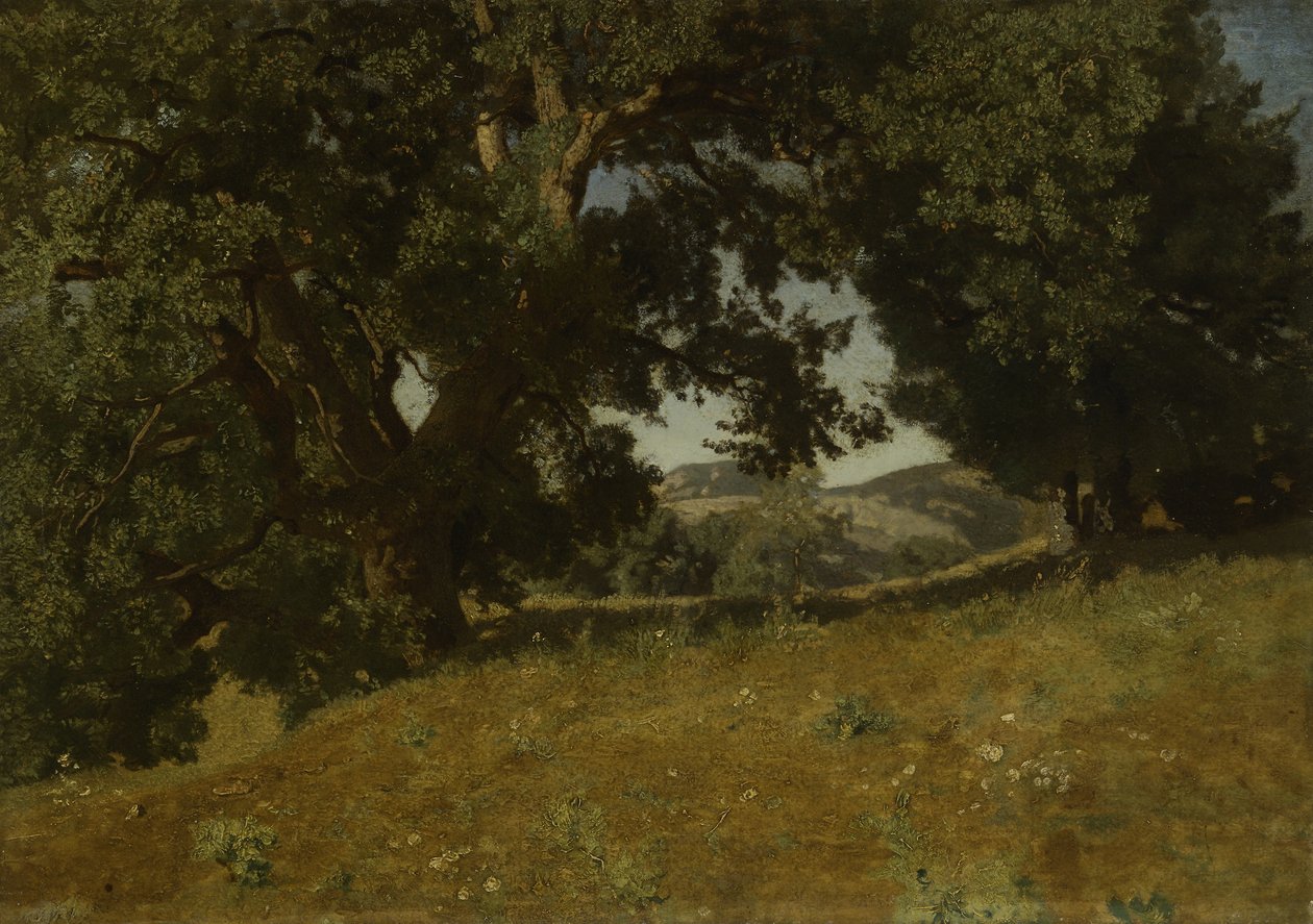 Paesaggio da Eugene Bléry