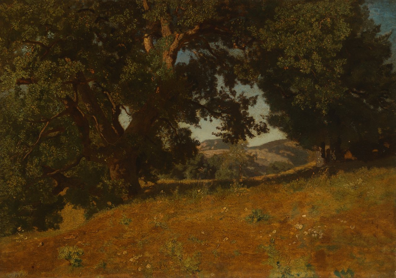 Paesaggio da Eugene Bléry