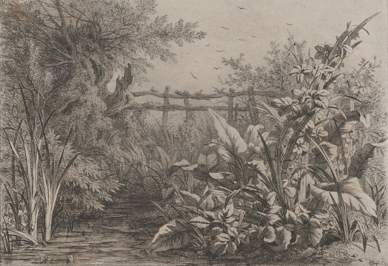 Lo stagno da Eugene Bléry