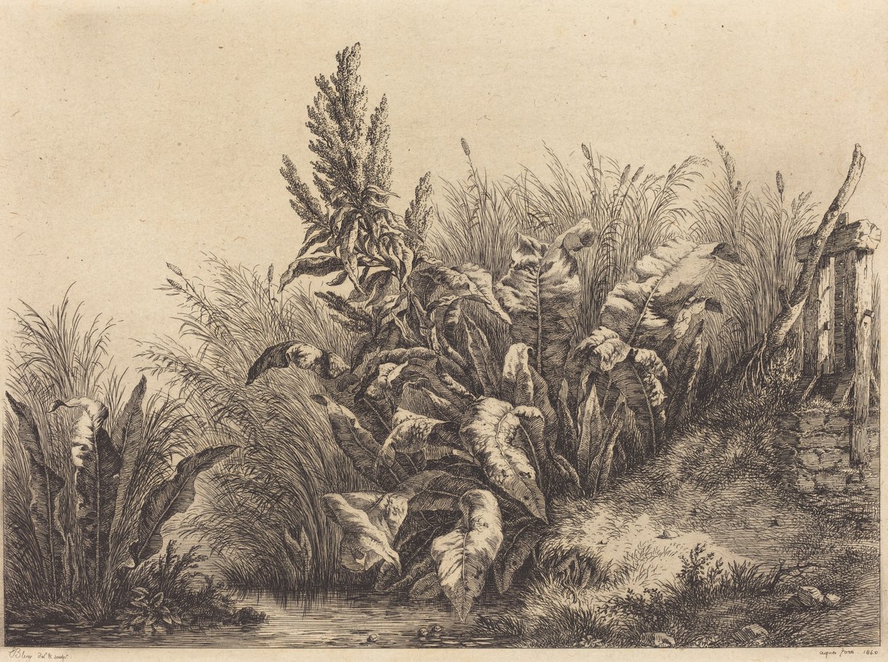 Darsena, 1840 da Eugene Bléry