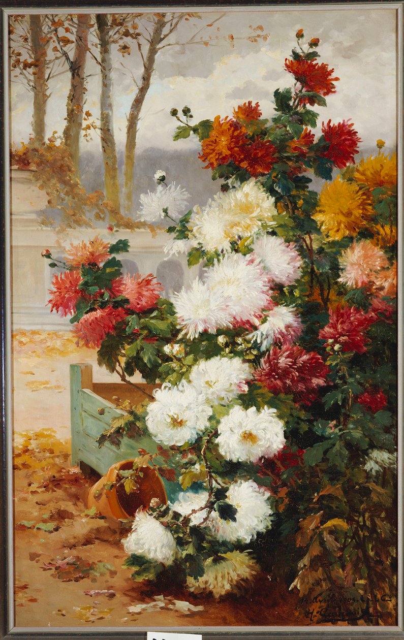 Crisantemi in un giardino murato da Eugene Henri Cauchois