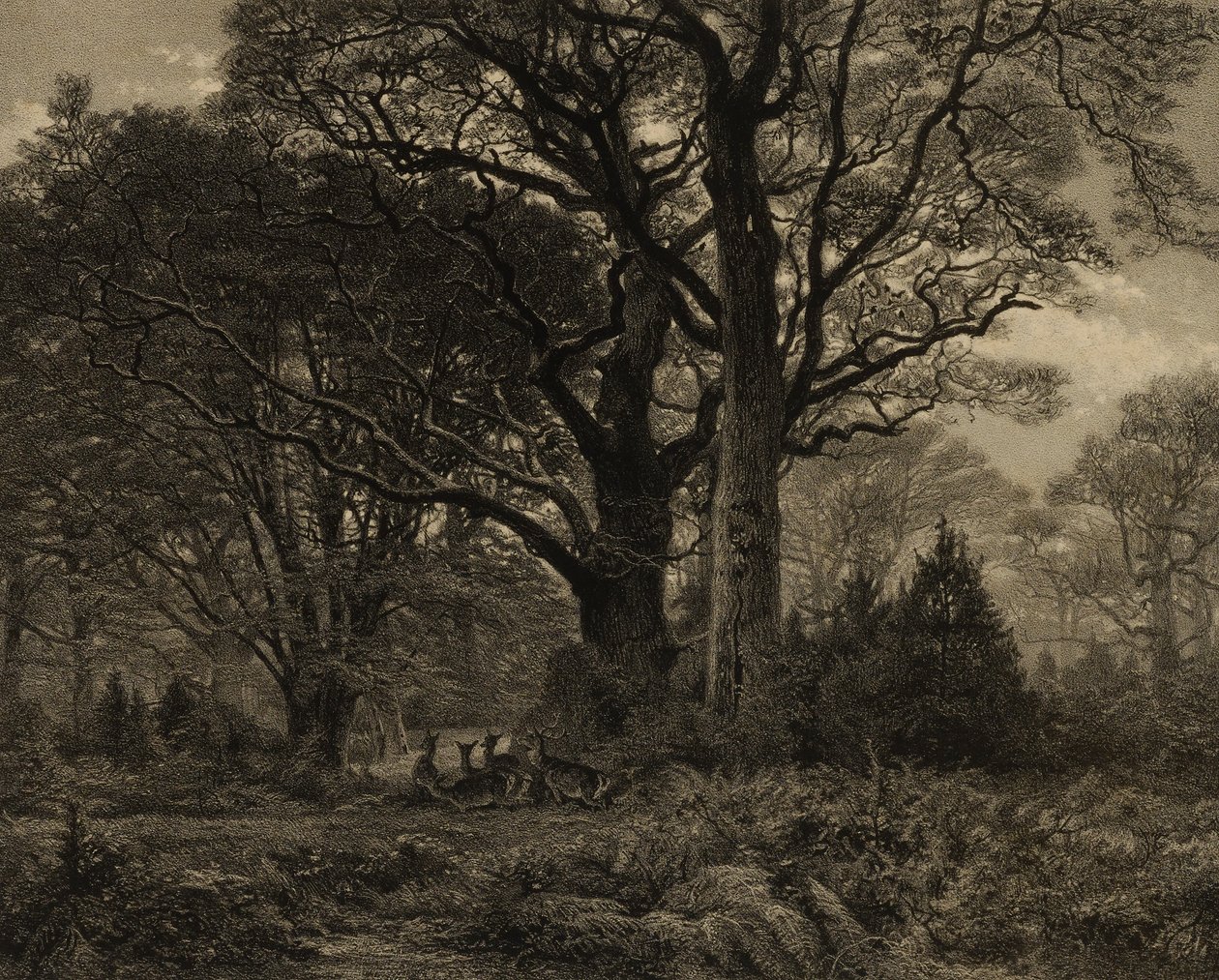 Foresta di Fontainbleau da Eugene Leroux