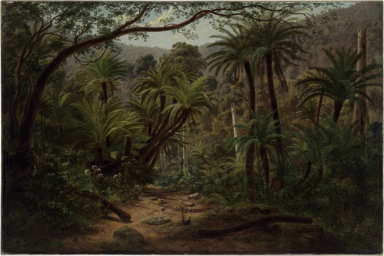 Ferntree Gully nelle Dandenong Ranges da Eugene von Guérard