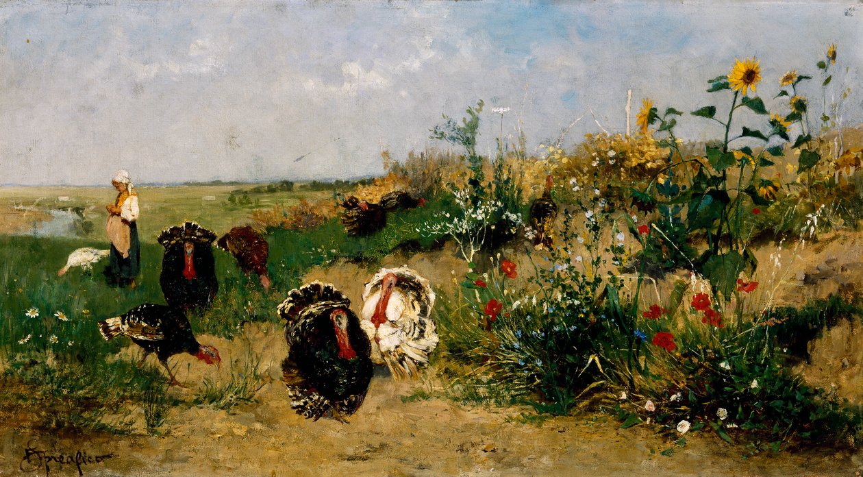Tacchini da Eugenio Spreafico