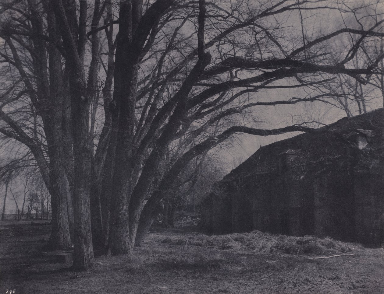 Fattoria del Parco di Courances da Eugène Cuvelier