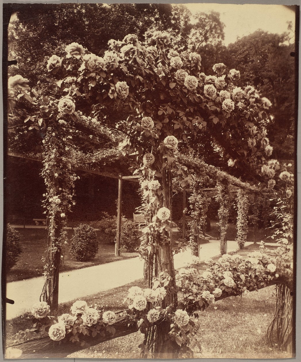 [Jardin de Bagatelle] da Eugène Atget