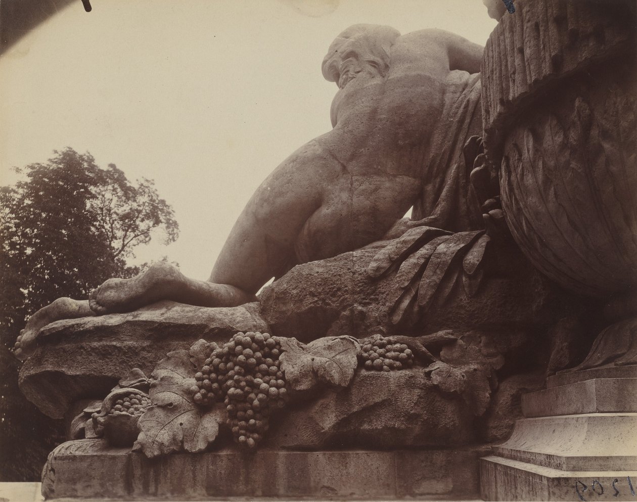 Saint-Cloud, 1923 (foto) da Eugène Atget