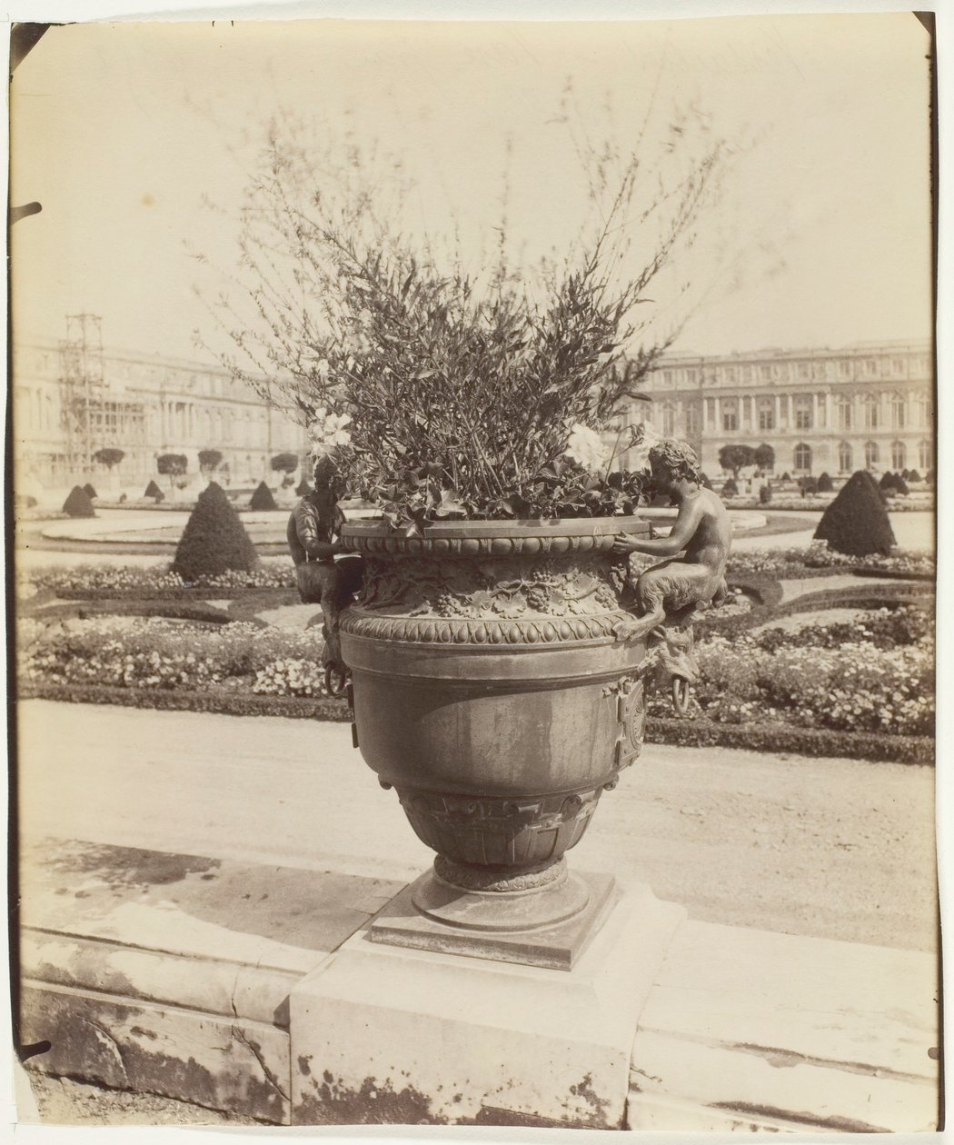 Versailles, vaso di Ballin da Eugène Atget