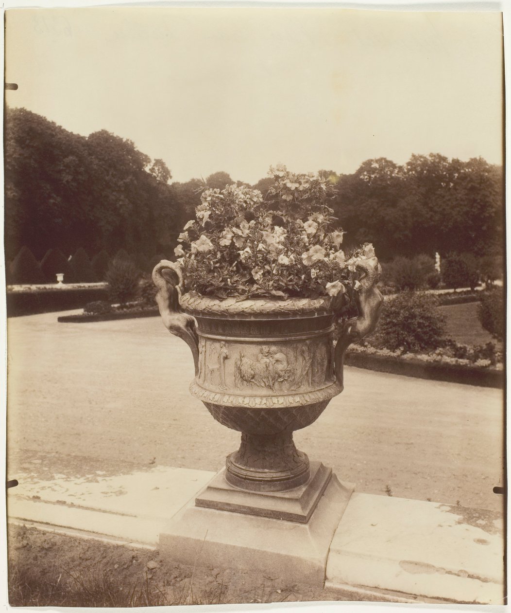 Versailles, Vaso di Ballin da Eugène Atget