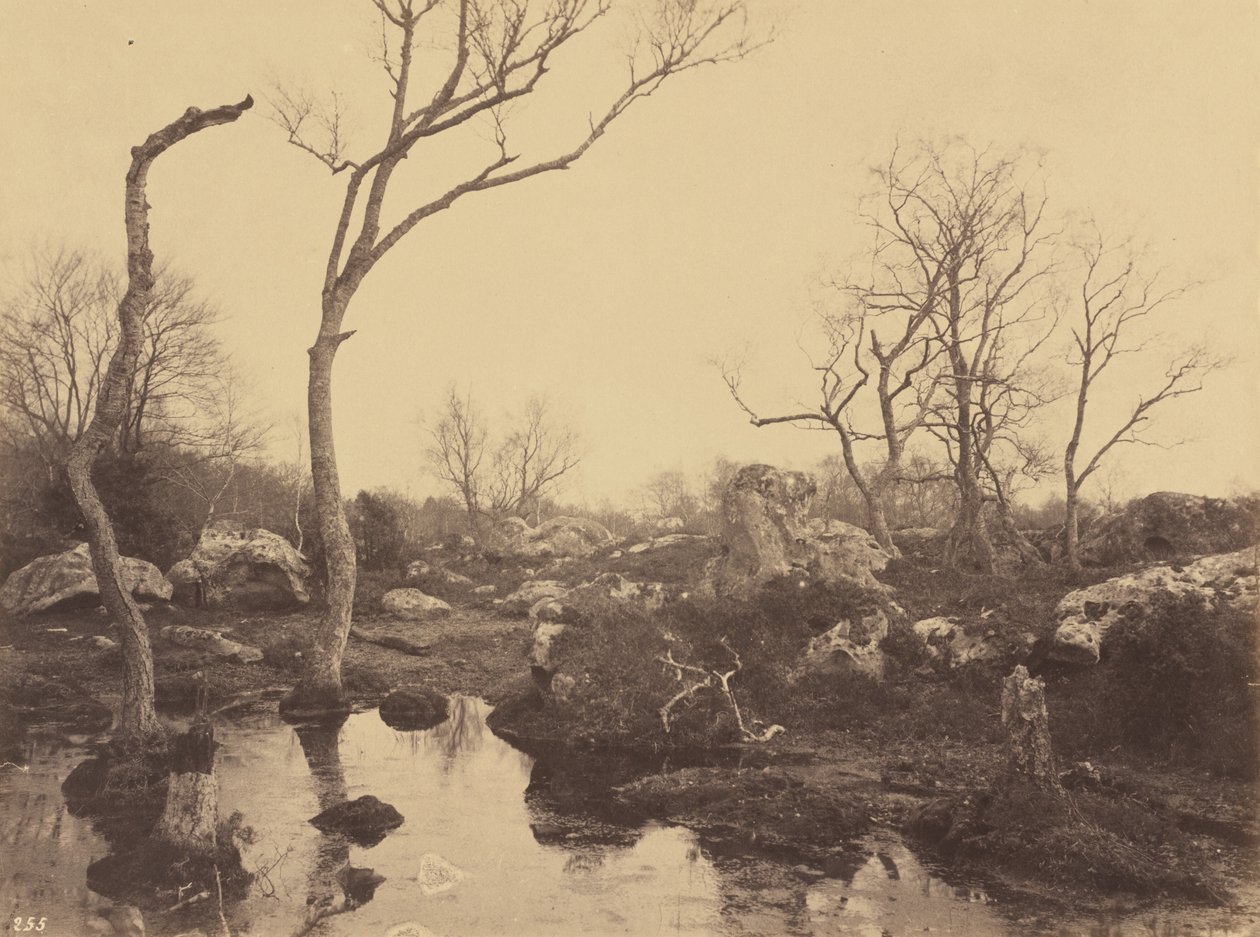 Belle Croix da Eugène Cuvelier