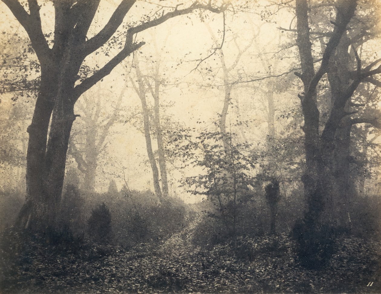 [Foresta di Fontainebleau] da Eugène Cuvelier