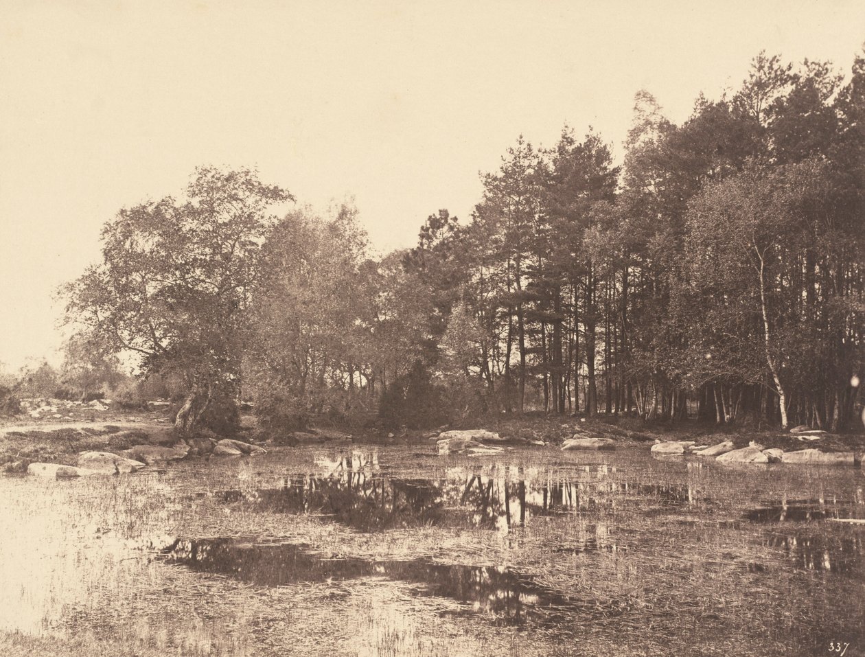 Palude di Piat (Altopiano di Belle-Croix), 1863 circa (foto) da Eugène Cuvelier