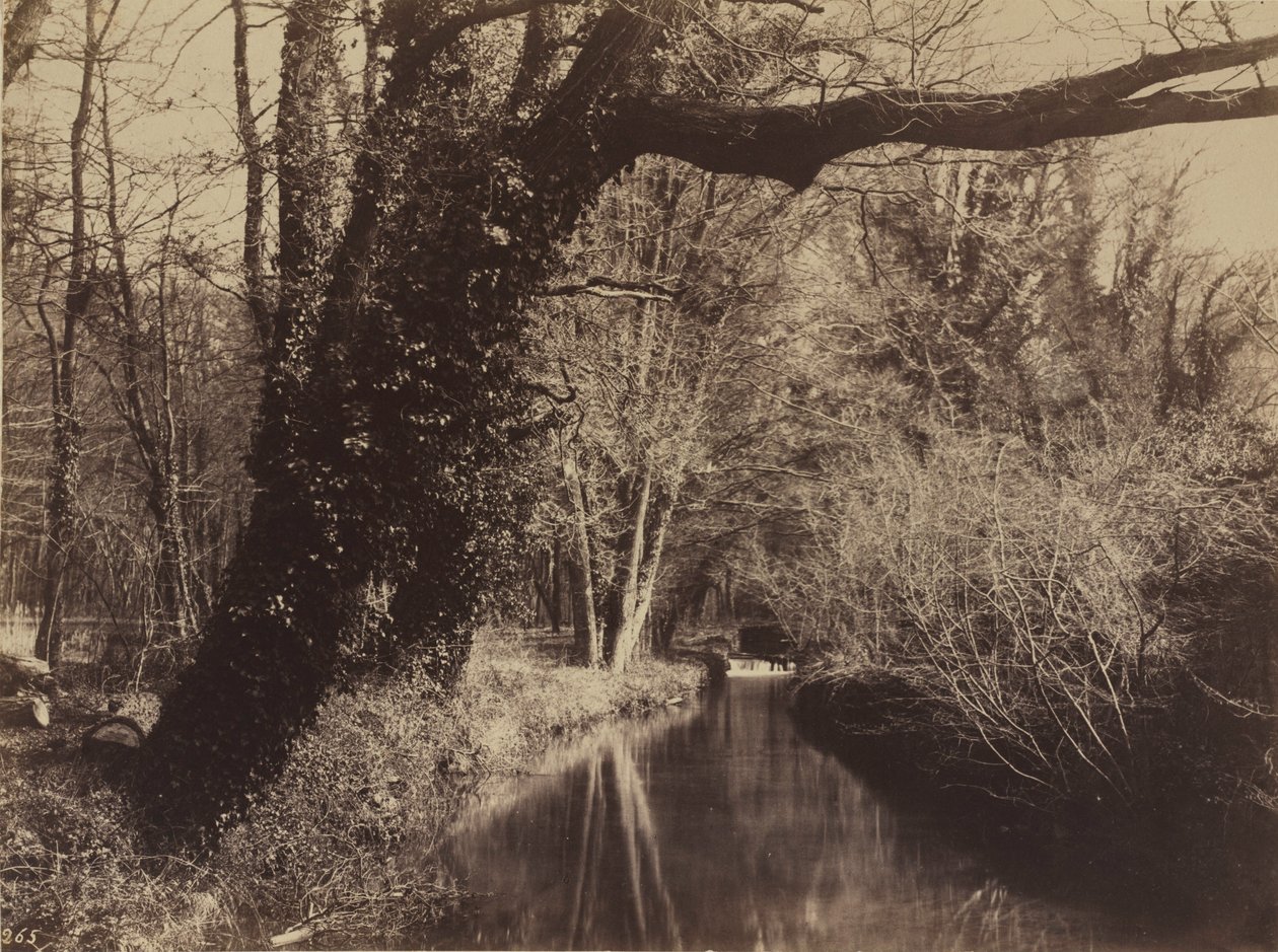 Parc de Courances, fine anni 