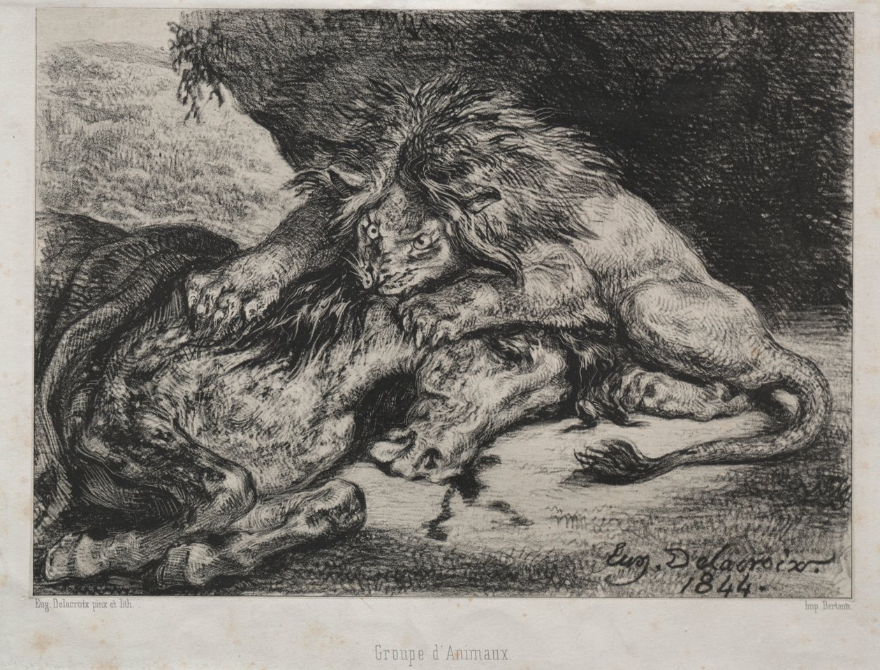 Leone che divora un cavallo da Eugène Delacroix