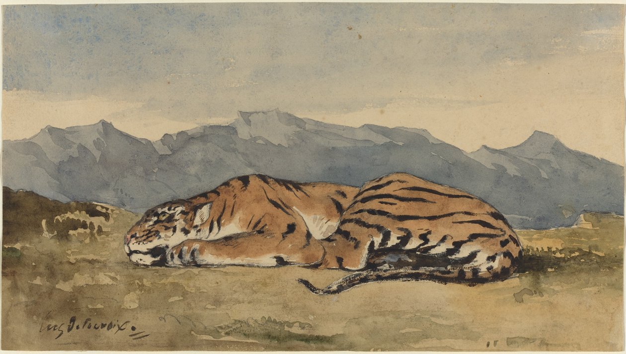 Tigre da Eugène Delacroix