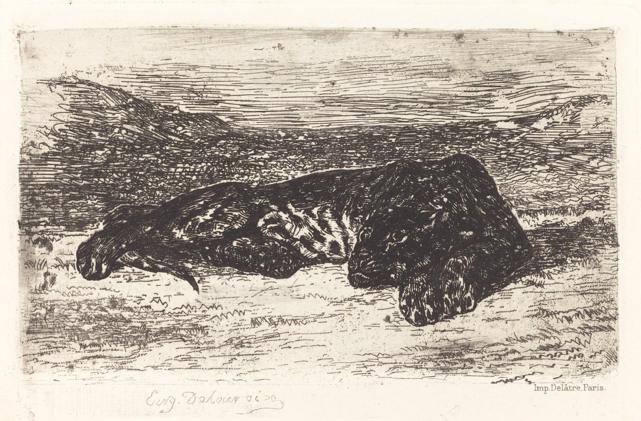 Tigre che Dorme nel Deserto, c. 1830 da Eugène Delacroix