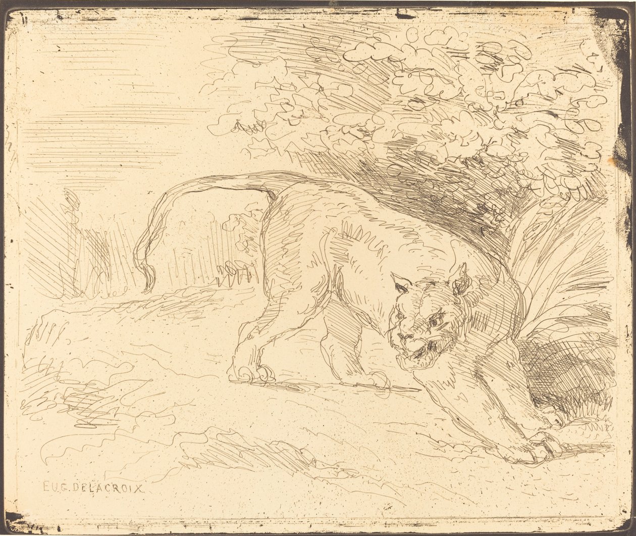 Tigre in agguato da Eugène Delacroix