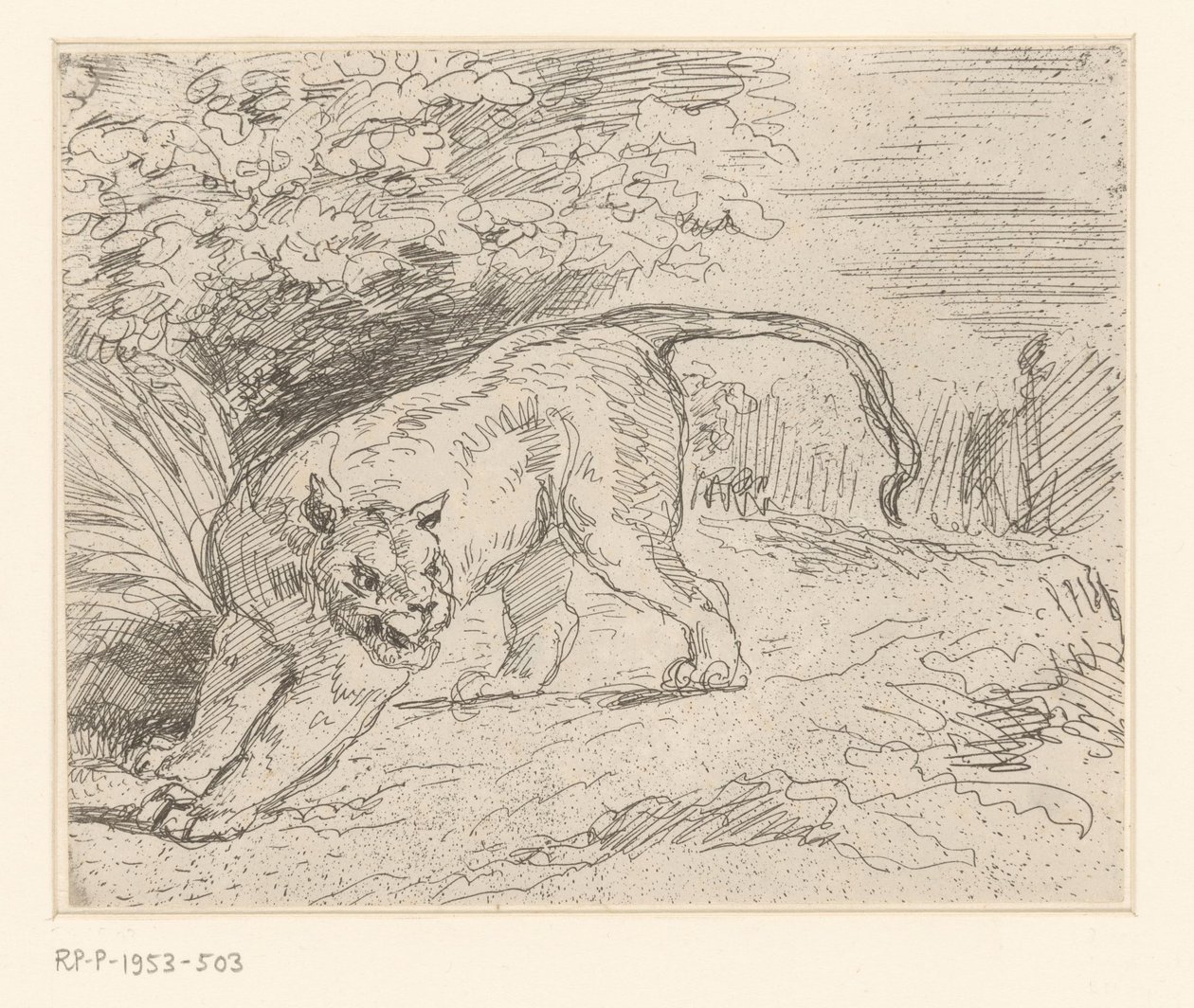 Tigre da Eugène Delacroix