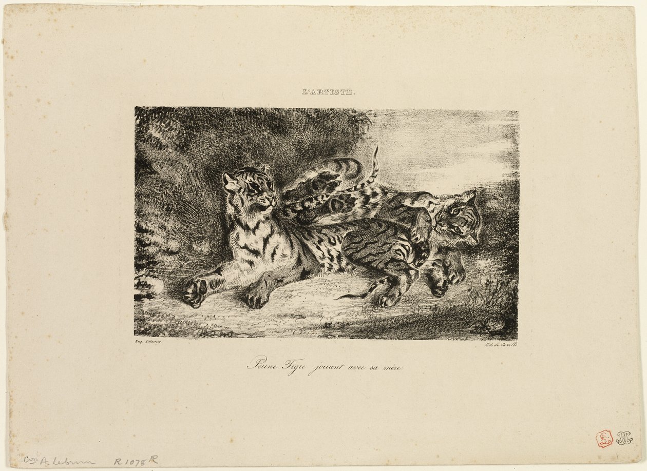 Giovane tigre che gioca con la madre da Eugène Delacroix