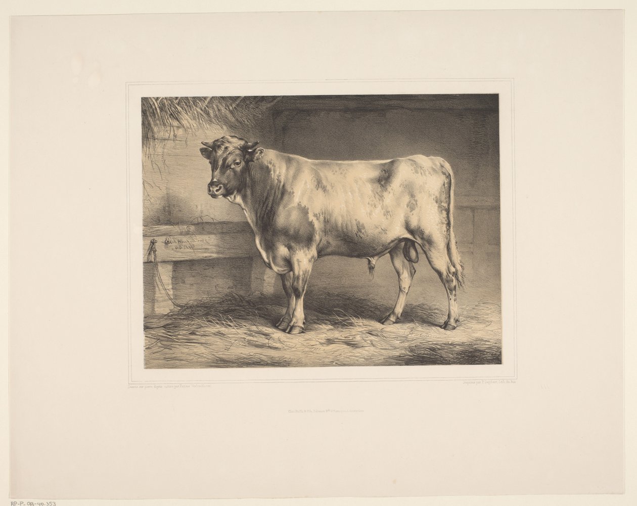 Toro da Eugène Verboeckhoven