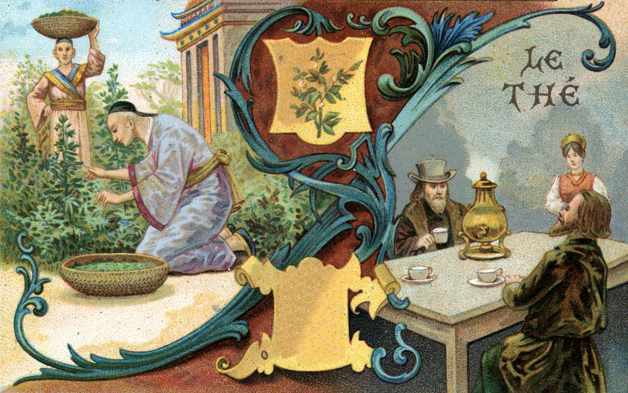 Tè, 1899 da European School