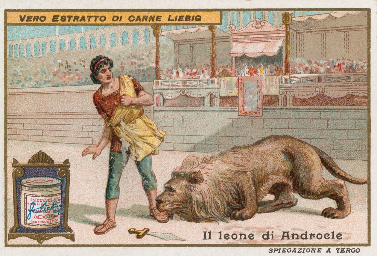 Androcles e il leone da European School
