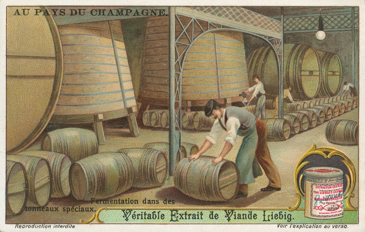 Champagne, carta Liebig, inizio XX secolo (cromo) da European School