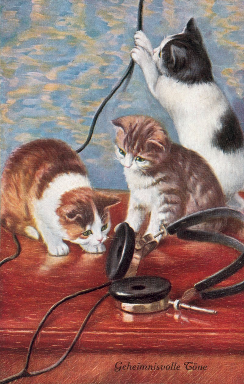 Cartolina umoristica con gatto (litografia a colori) da European School