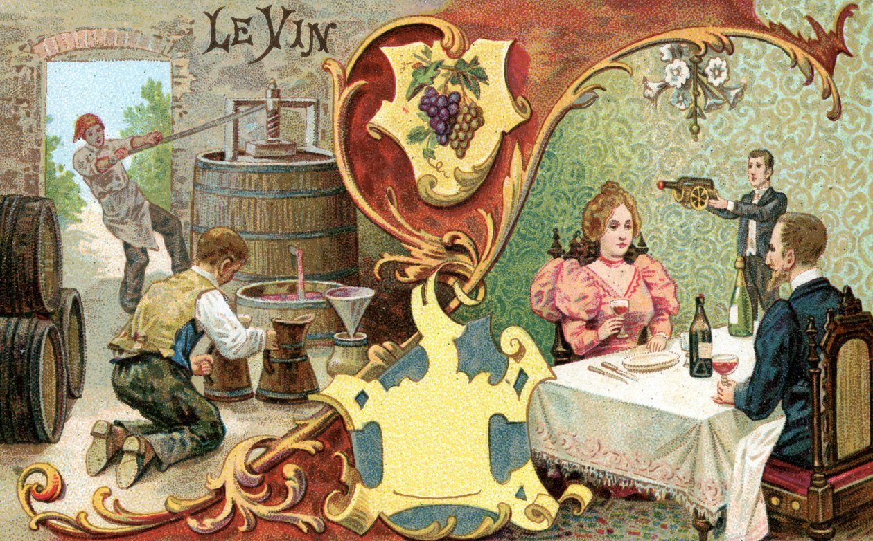 Vino, 1899 da European School