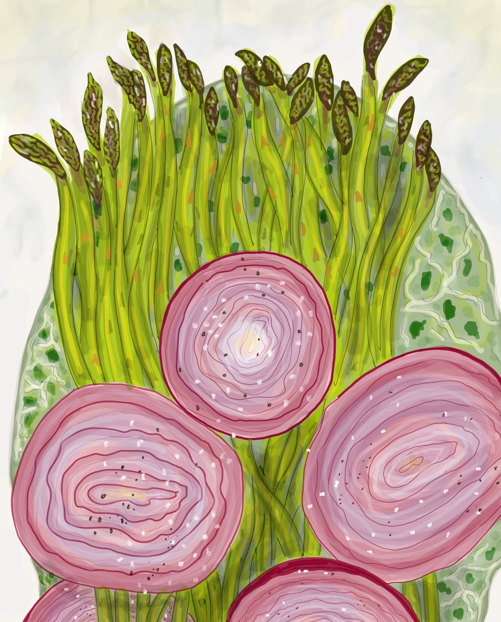 Asparagi, Brooklyn (arte digitale) da Evan Sklar