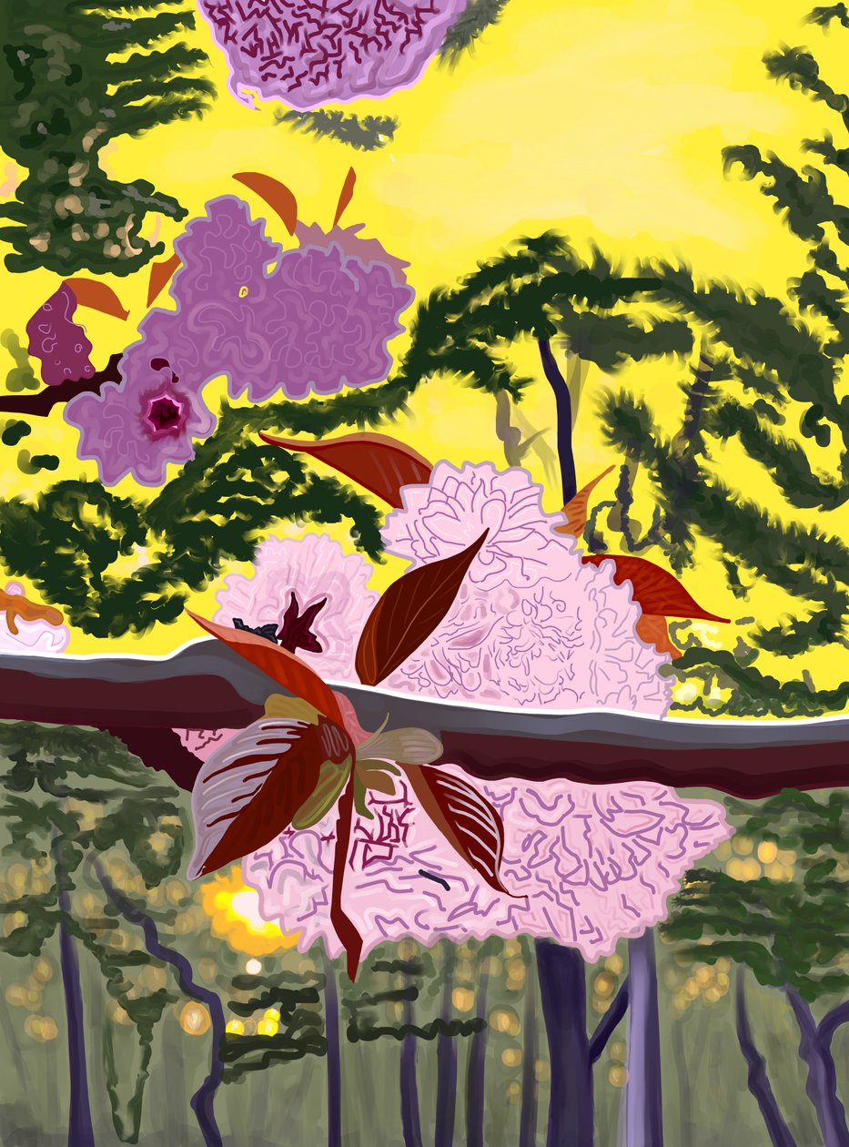 Fiori di ciliegio sul ramo di Brooklyn (arte digitale) da Evan Sklar