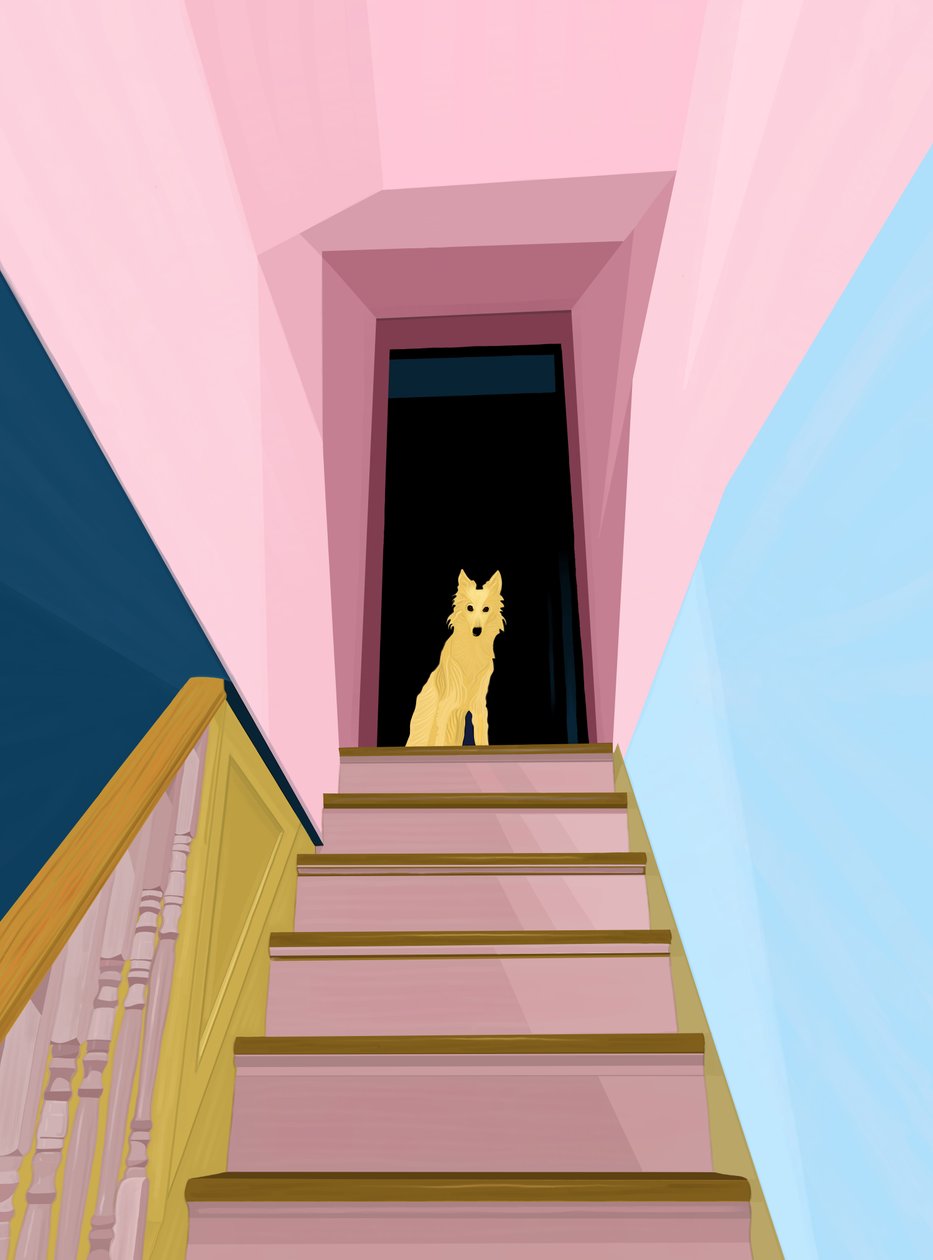 Cane in cima alle scale (arte digitale) da Evan Sklar