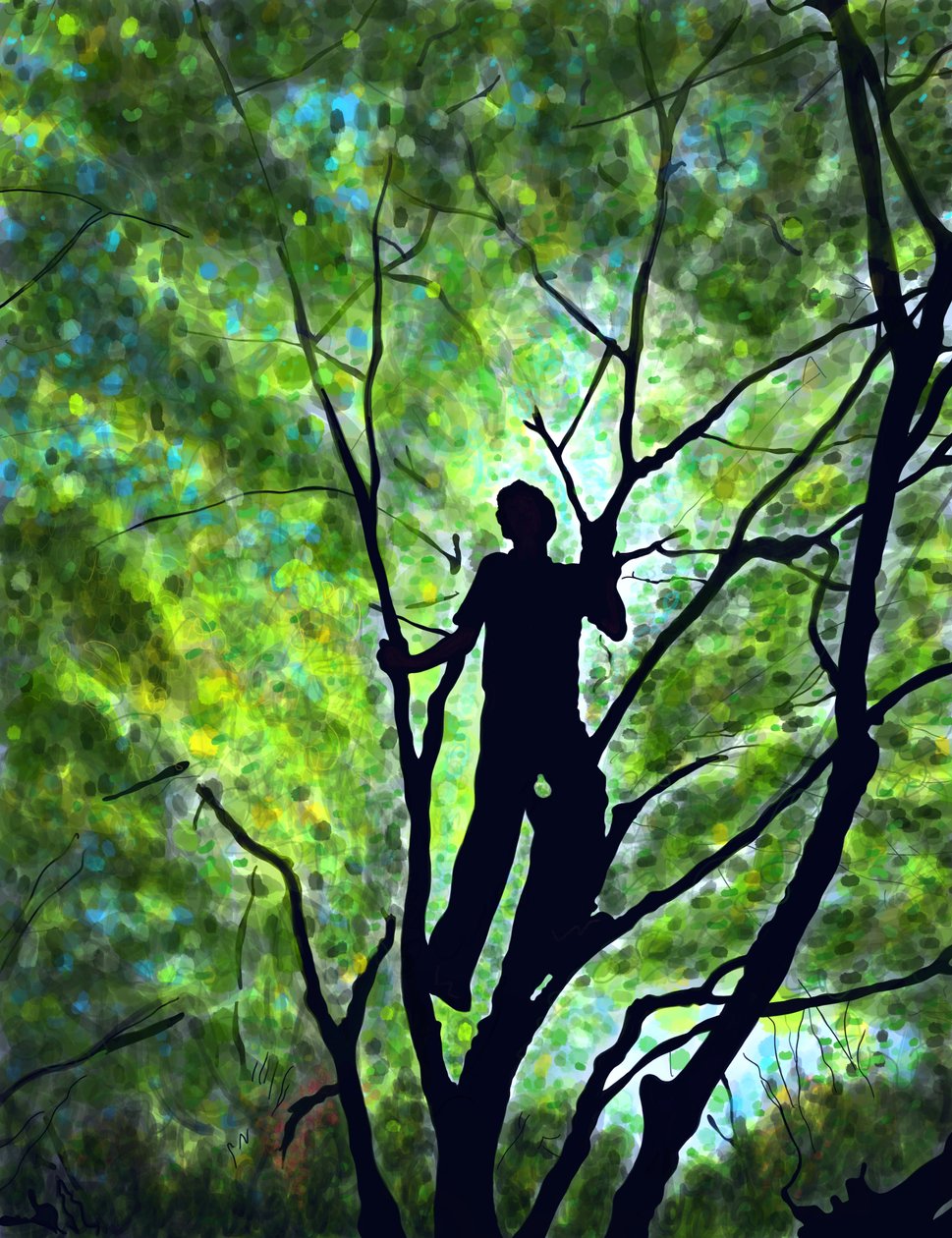 Emmitt a Treea, Brooklyn (arte digitale) da Evan Sklar
