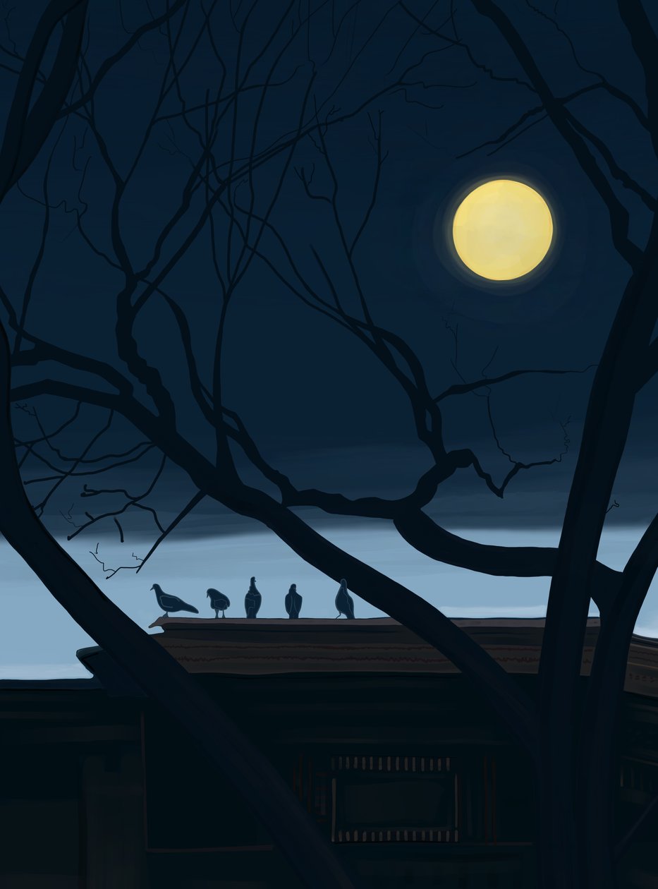 Cinque piccioni sul tetto (arte digitale) da Evan Sklar