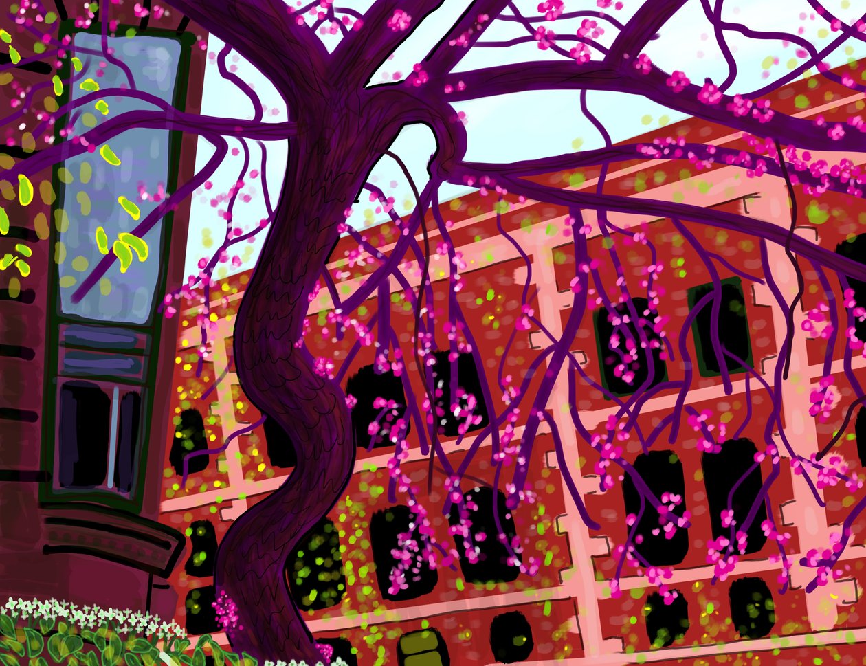 Primavera, Brooklyn (arte digitale) da Evan Sklar