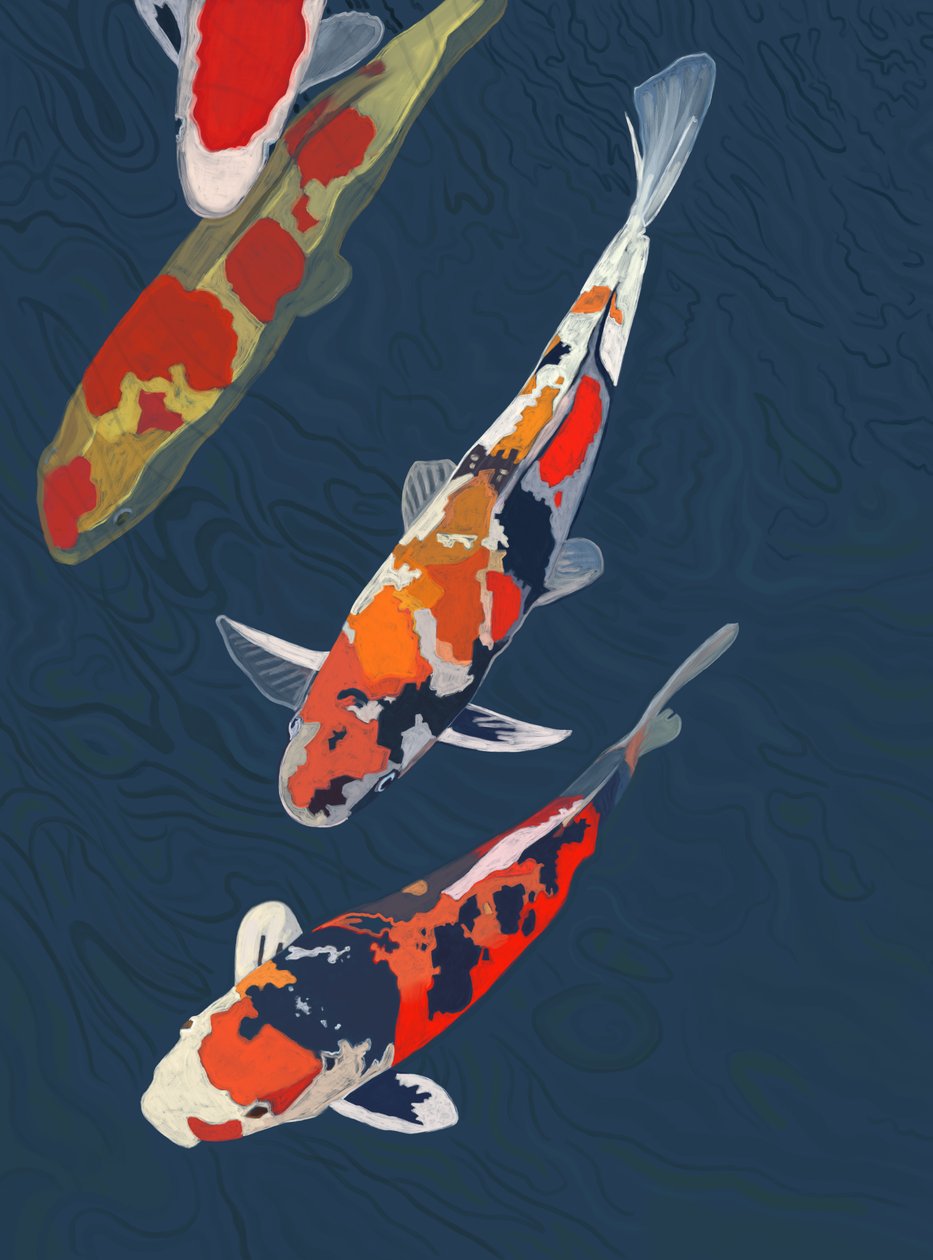 Tre Koi (arte digitale) da Evan Sklar