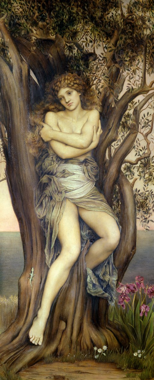 La driade, 1884-85 da Evelyn De Morgan