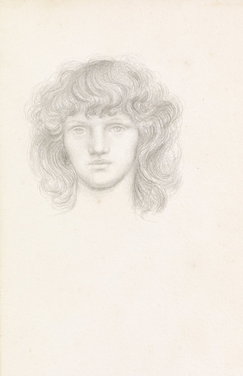 Testa di una ragazza da Evelyn De Morgan