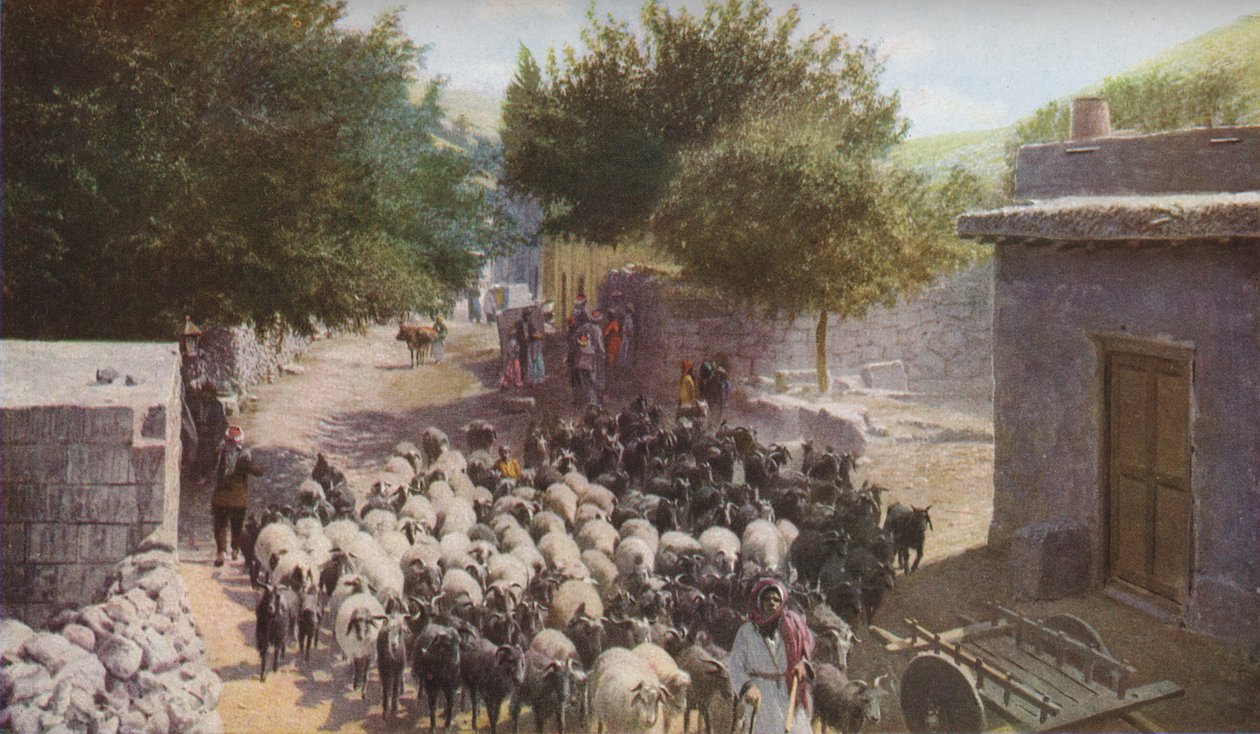 Palestina da Ewing Galloway