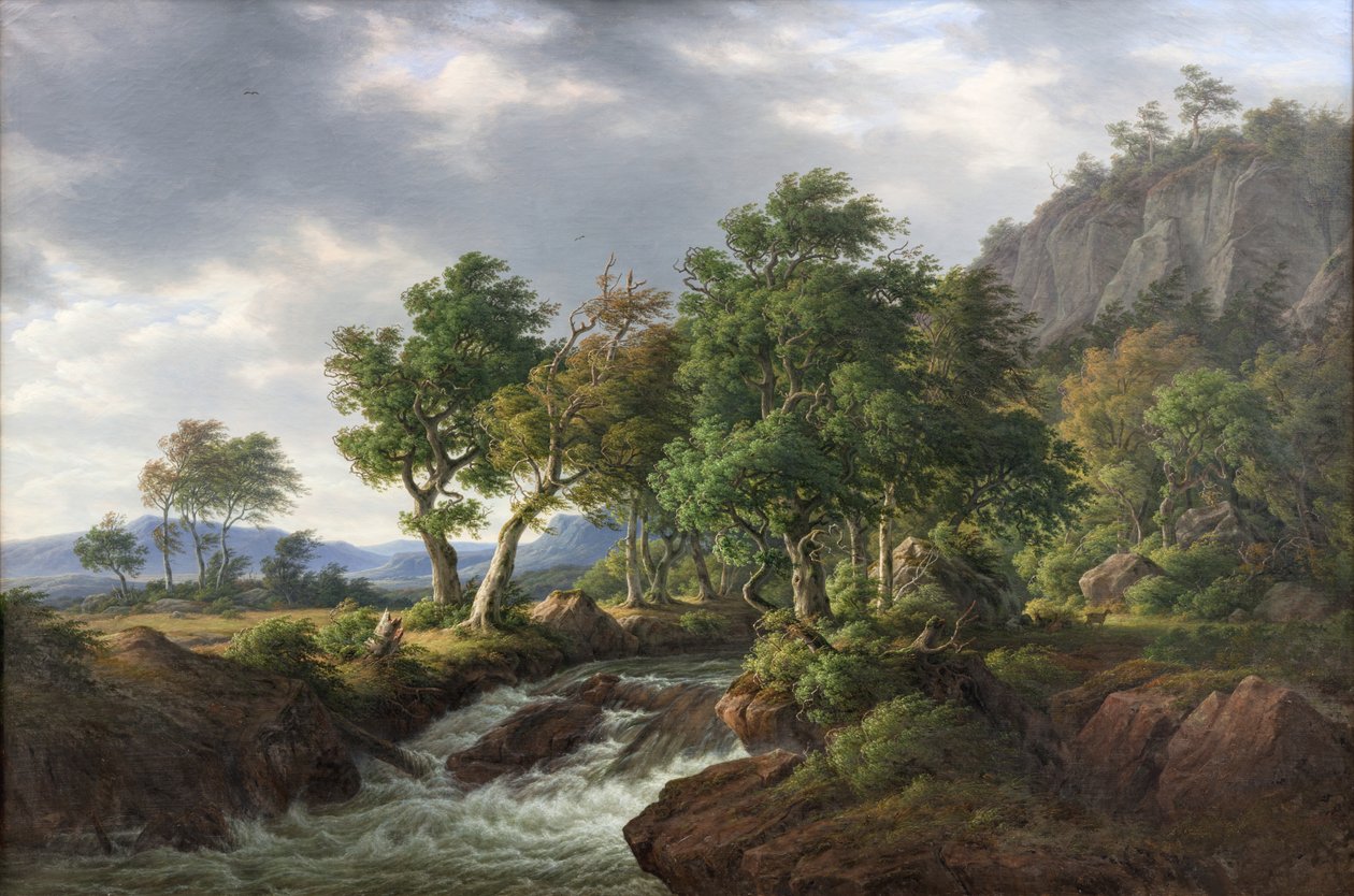 Paesaggio roccioso. Djupadal a Blekinge da F.C. Kiærskou