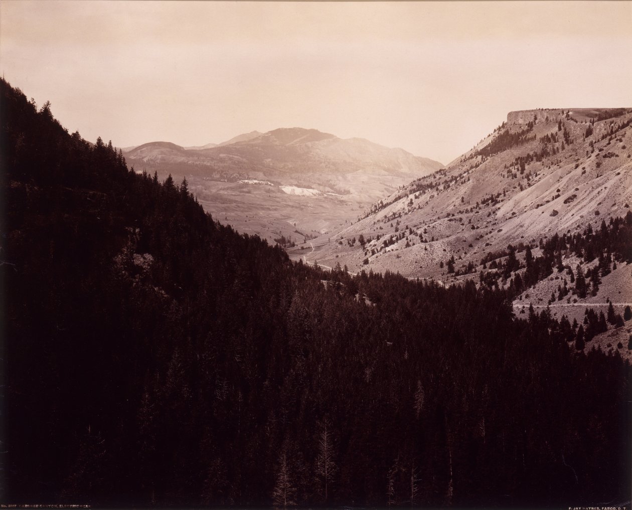 Gardner Canyon, Electric Peak da F. Jay Haynes