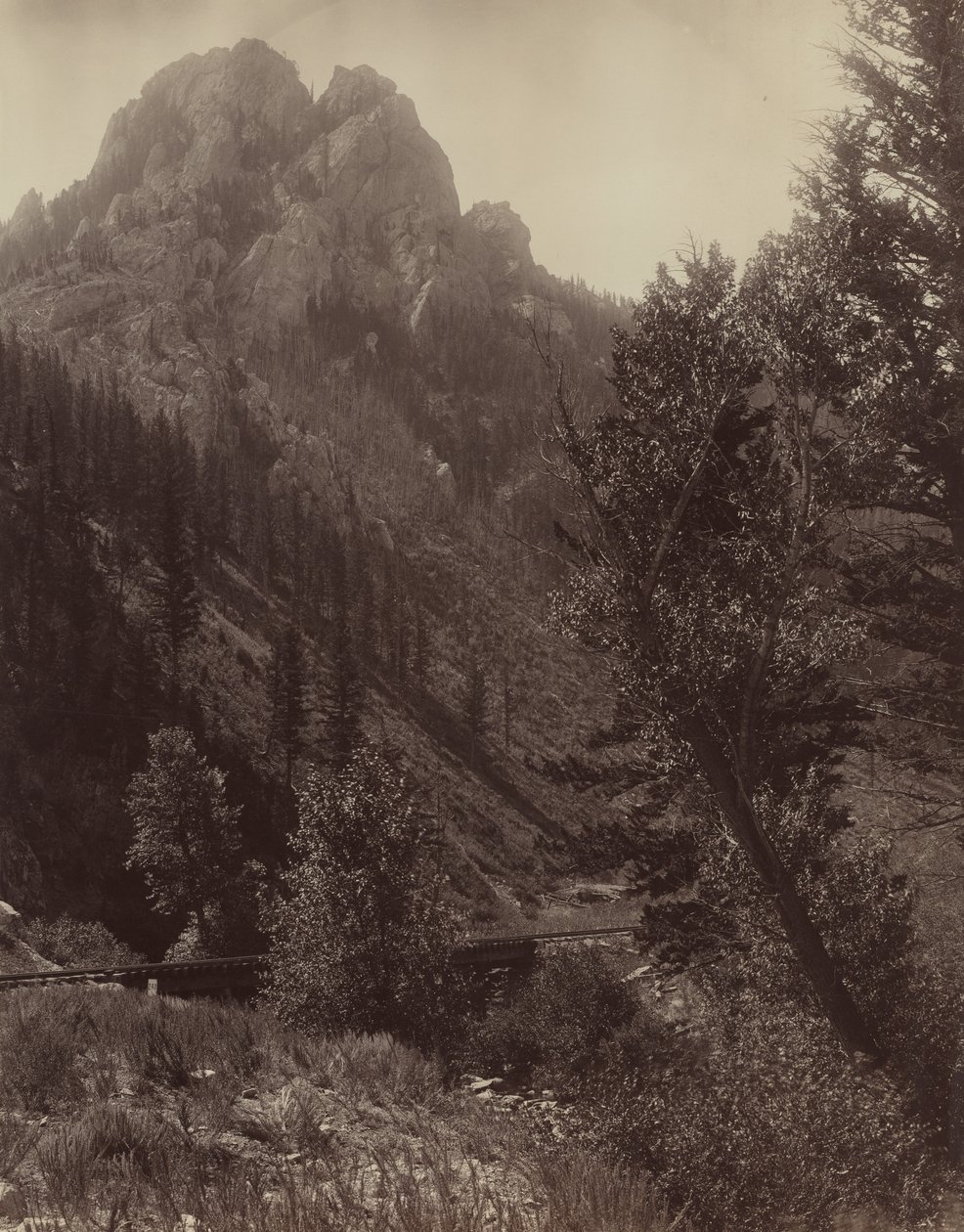Senza titolo, c. 1884 da F. Jay Haynes