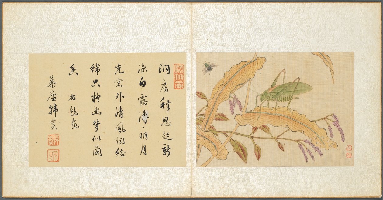 Album di Soggetti Vari, Foglio 7, 1600s da Fan Qi